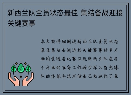 新西兰队全员状态最佳 集结备战迎接关键赛事