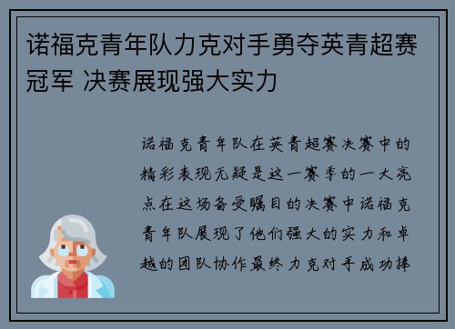 诺福克青年队力克对手勇夺英青超赛冠军 决赛展现强大实力