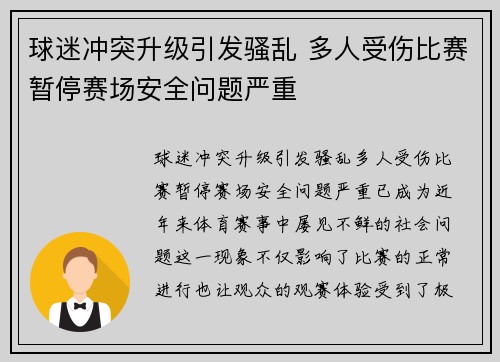 球迷冲突升级引发骚乱 多人受伤比赛暂停赛场安全问题严重